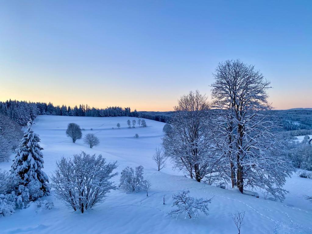 Gaestehaus Steiert Fewo Kuhbergblick Lenzkirch Exteriör bild