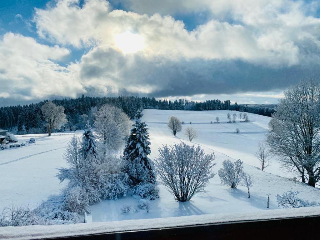 Gaestehaus Steiert Fewo Kuhbergblick Lenzkirch Exteriör bild