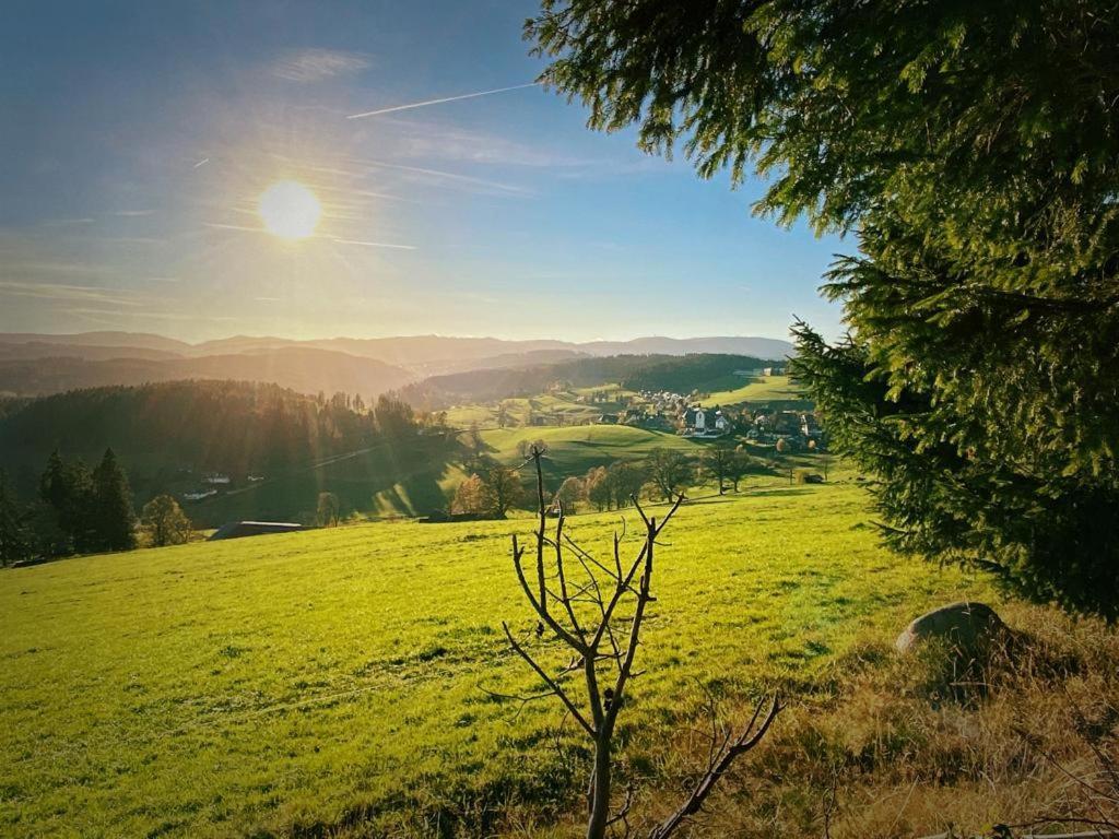 Gaestehaus Steiert Fewo Kuhbergblick Lenzkirch Exteriör bild
