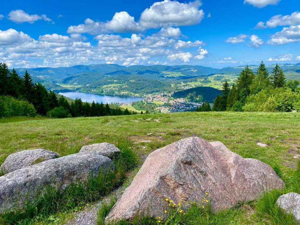 Gaestehaus Steiert Fewo Kuhbergblick Lenzkirch Exteriör bild