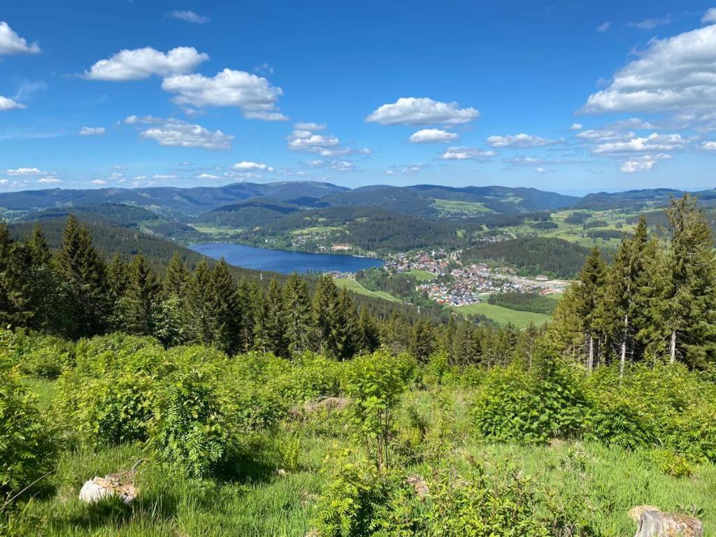 Gaestehaus Steiert Fewo Kuhbergblick Lenzkirch Exteriör bild